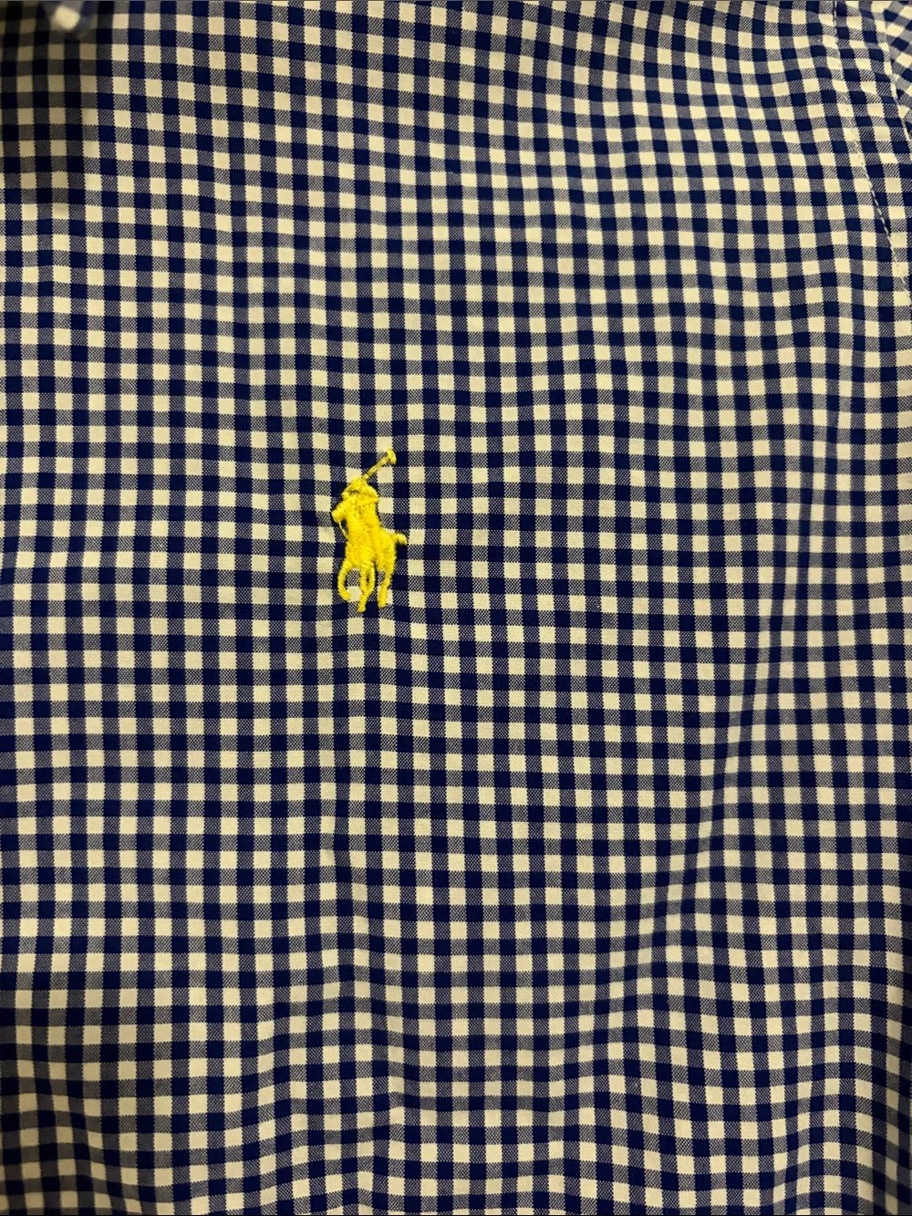 Polo by Ralph Lauren Navy and White Gingham Short-Sleeve Button-Down Shirt